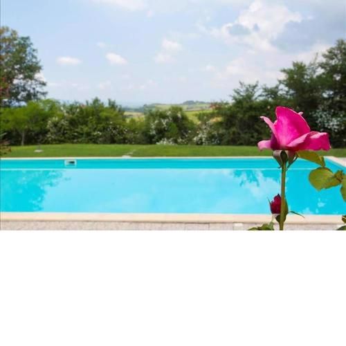Premiere Apartments - Residenza Le Rose nel Chianti