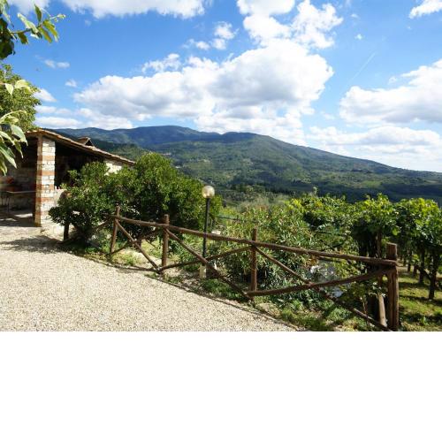 Premium Holiday Home in Pelago with Swimming Pool