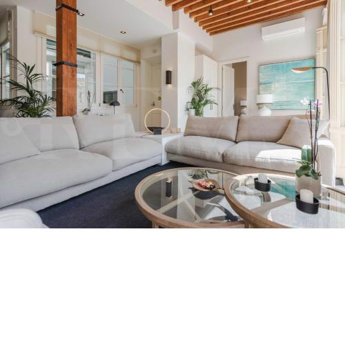 Premium loft in the heart of Malaga