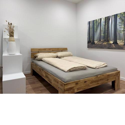 Premium Renovated Flat in Central Vienna