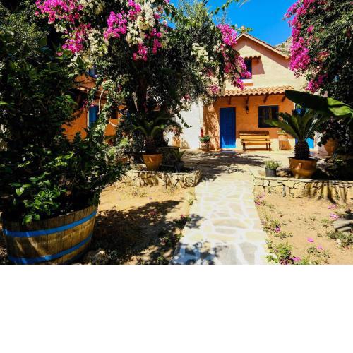Pretty Holiday Home with Lotus Garden Terrace near Seabeach