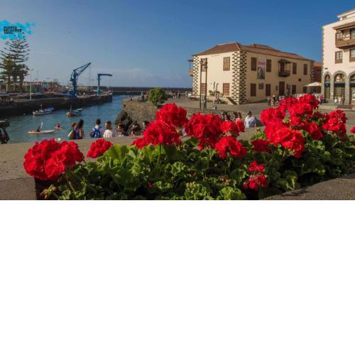 Prime Homes Muelle Studio