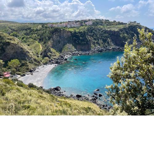 Private Beach Aloes