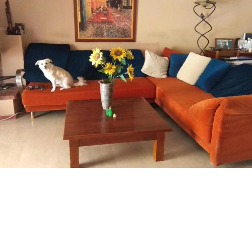 Private Room In My Residence Flat