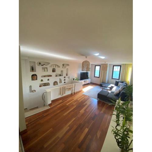 Private Triplex House in the City Center