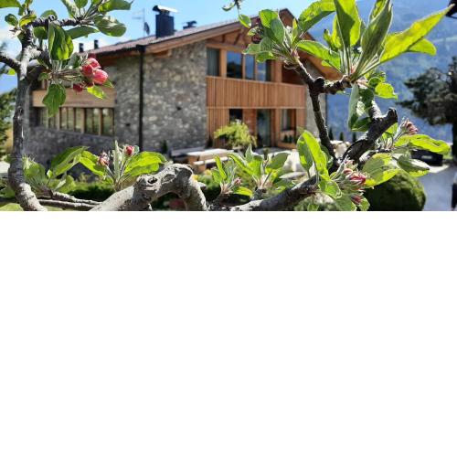 Pröfinghof - Urlaub auf dem Biobauernhof