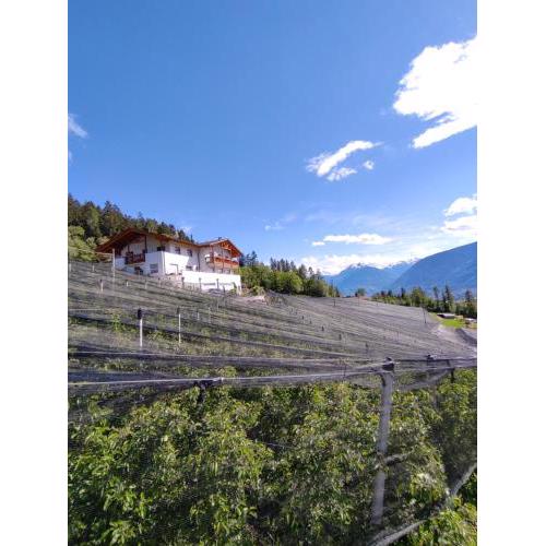 Prünsterhof Schenna