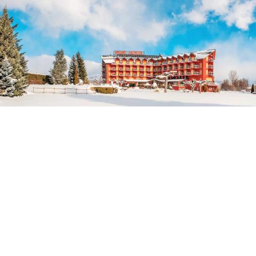 Puigcerda Park Hotel