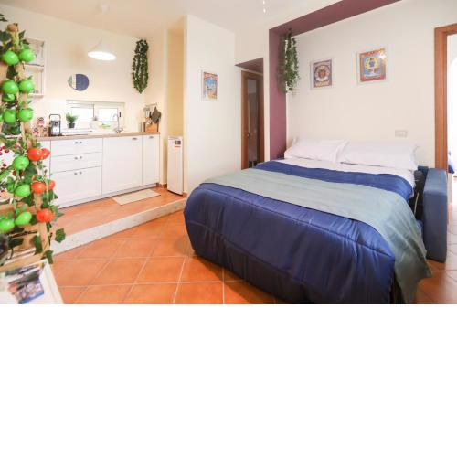 Pulcinella Home