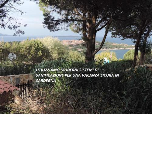 Punta Lada