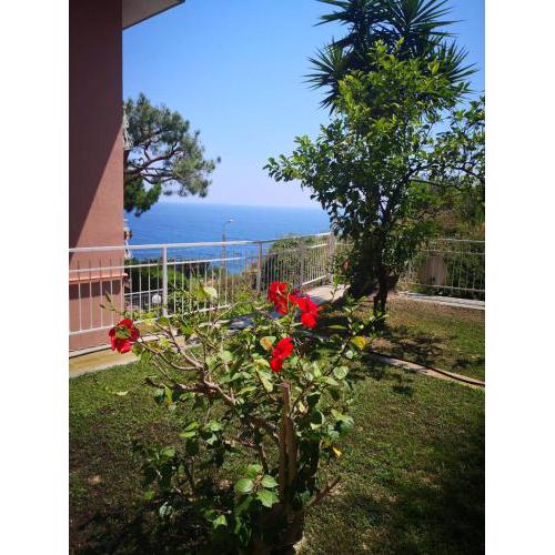Punta Sole