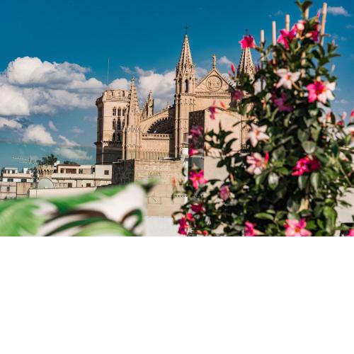 Purohotel Palma