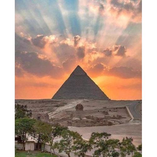 pyramids fox