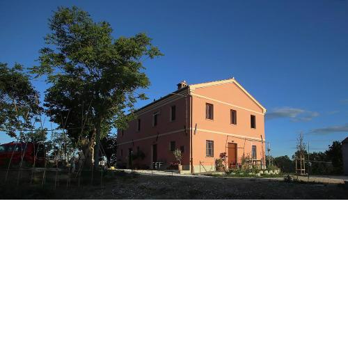 quindici alberi