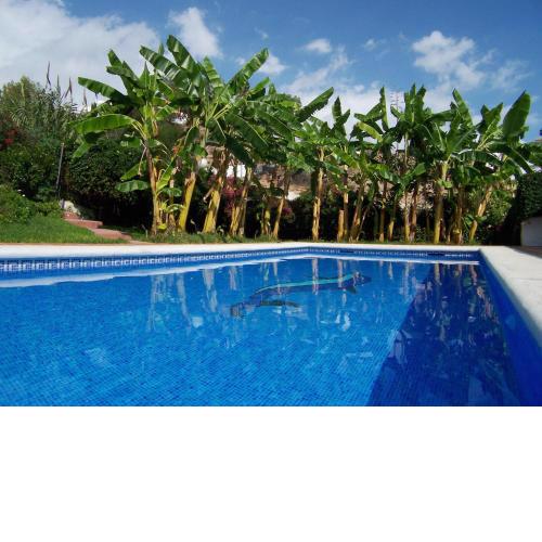 R1352 Pinomar D