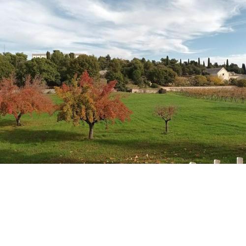 Racconto di Puglia - Selva di Fasano