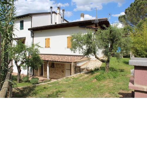 Radici House