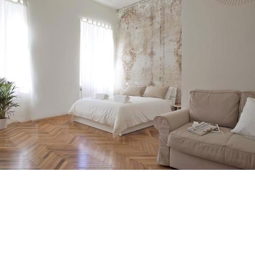 Rapanus Suites