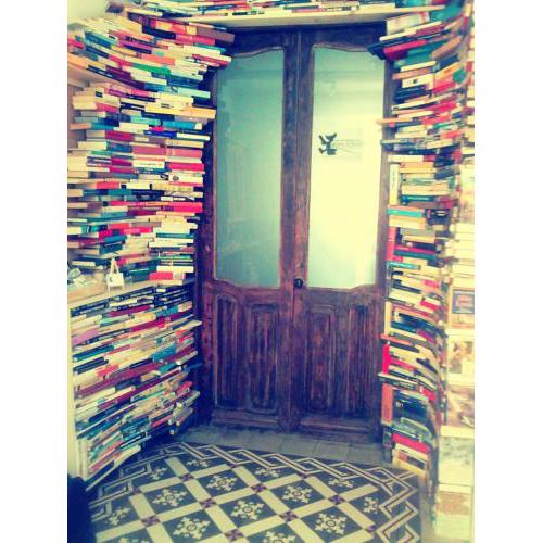 Ratones de Biblioteca