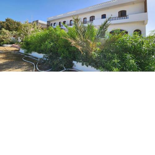 Rayhana Guest House