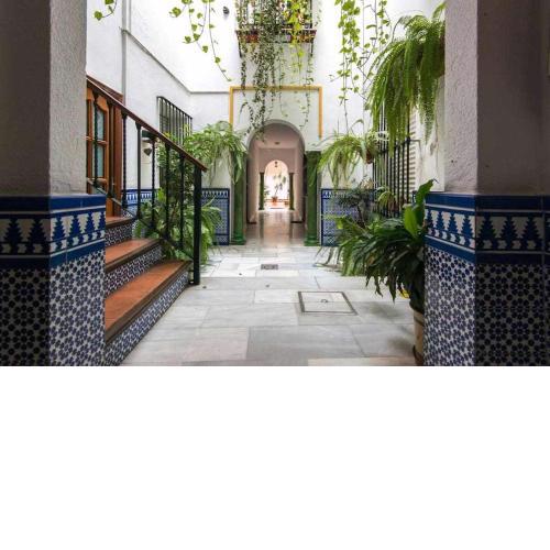 RC Sevilla Centro Histórico CatedralJudería