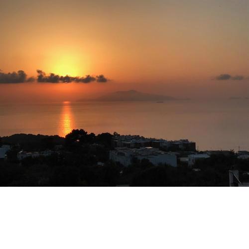 R&D Rest and Dream Capri