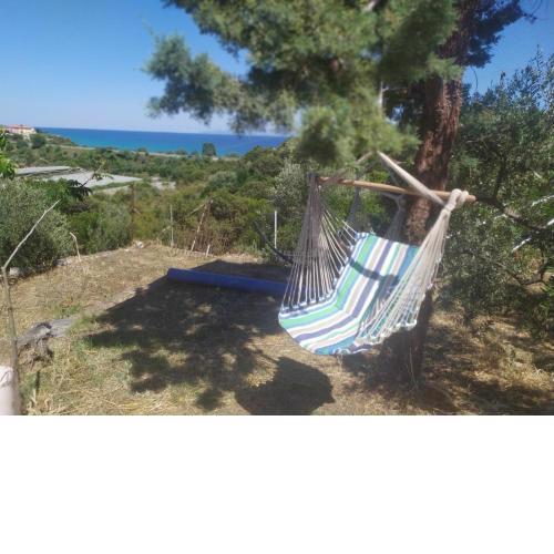 Real Holidays Antoniadou - Rustic House