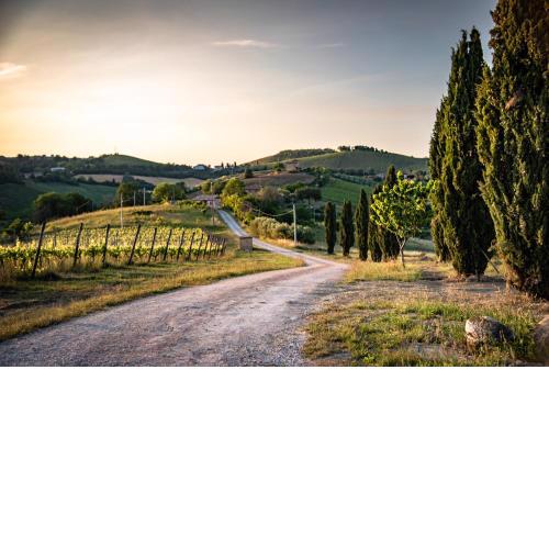 Recchi Franceschini Bike Hotel LAST - MINUTE - AVAILABILITY