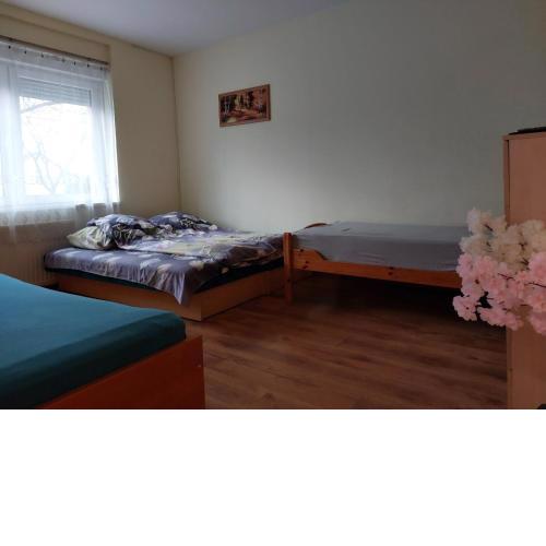 Red Locomotive Apartment