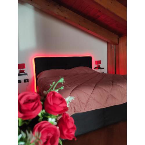 Red Lux Apartment