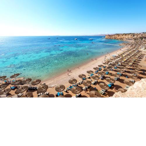 Reef Oasis Beach Resort