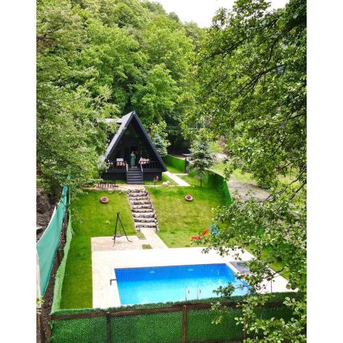 Refreshing Bungalow with Private Pool Surrounded by Nature in Sapanca