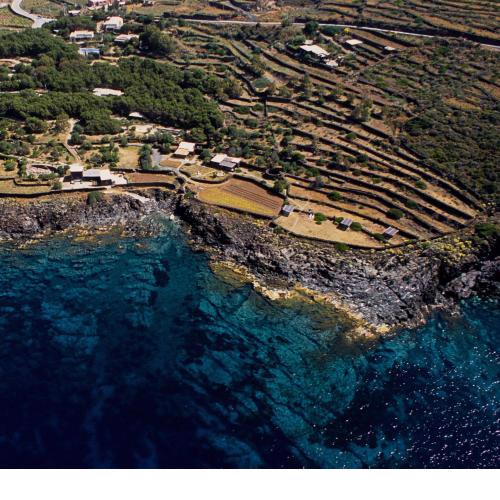 Relais Euterpini