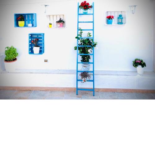 Relax House