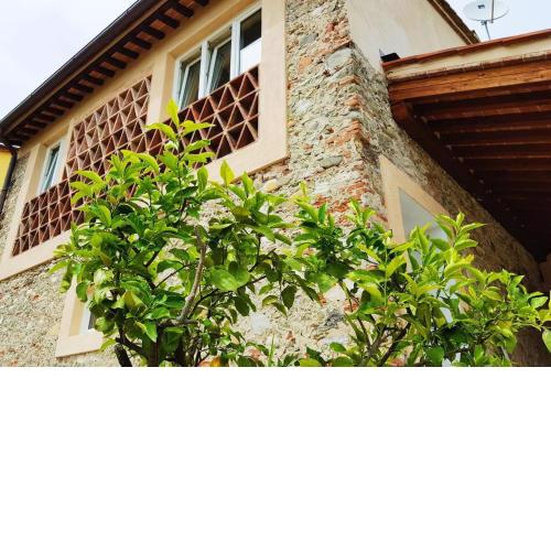 Relax in Toscana a due passi da Lucca
