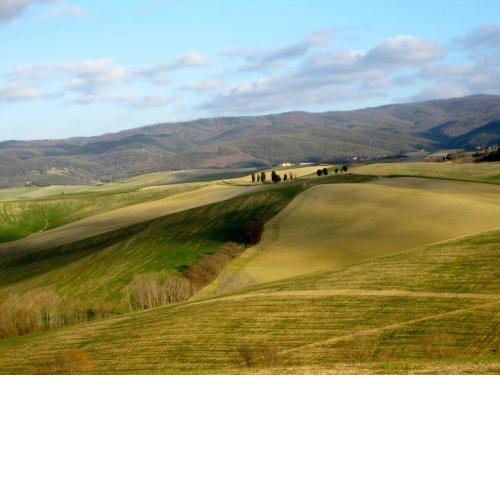 Relax nella meravigliosa campagna Toscana ad un passo dal mare