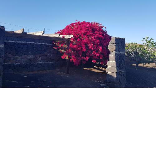 Relax-Oasis Vasiliko Lanzarote -
