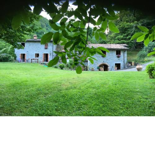 Relax totale nel Bosco Lucca