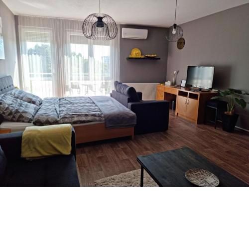 Relax Wellness Apartman Hajdúszoboszló