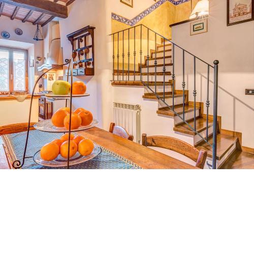 Renaissance Apartment