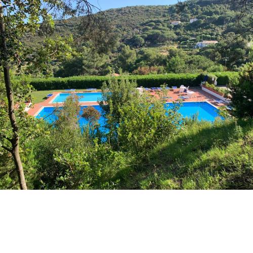 Reneè 28 Pool & Nature