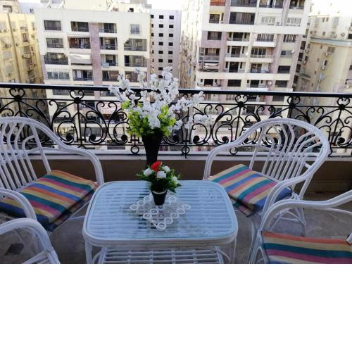 Rental hostels nasrcity anwar elmofti