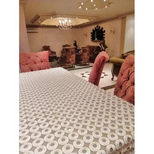 rental house nasrcity anwar elmofti