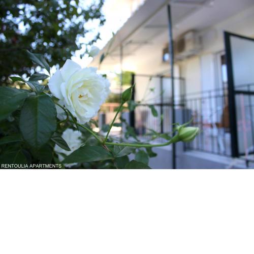 Rentoulia Apartments