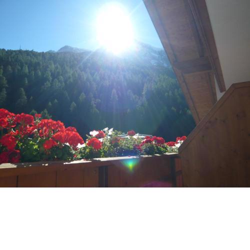 Residence Aster