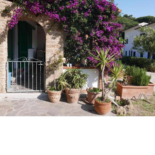 Residence Augusto