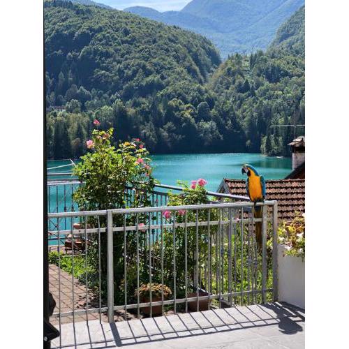 Residence Belvedere