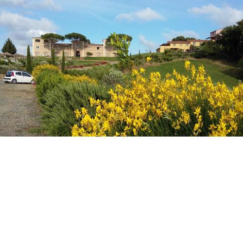 Residence Borgo Felciaione