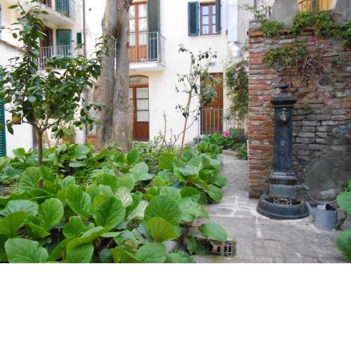 Residence Domus