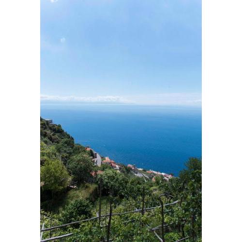 Residence Gioia